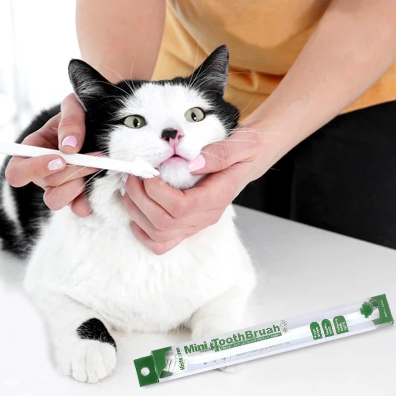 Brosse à dents pour chien recommandée par vétérinaire – Outil de nettoyage des dents à micro tête pour chiens et chats à petite bouche, 360 °   Kit dentaire pour animaux de compagnie, soins des gencives