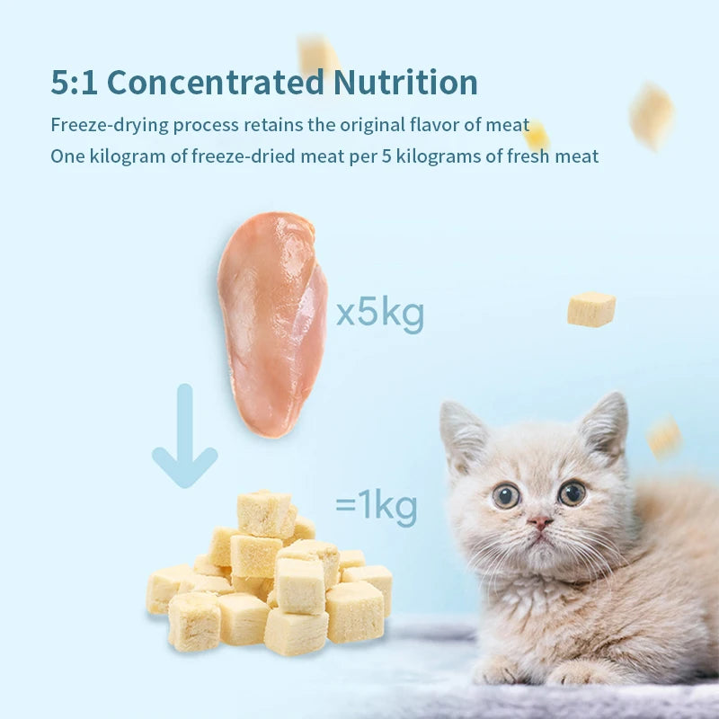 Friandises lyophilisées pour chats : Poulet, canard et poitrine de poulet lyophilisés en seau