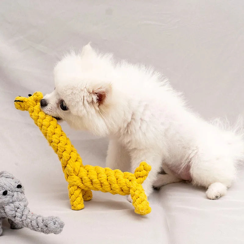 Jouet à Mâcher Résistant aux Morsures pour Chien, Petit Gabarit, Nettoyage des Dents, Chiot, Corde, Boule à Nœud, 1 Pièce