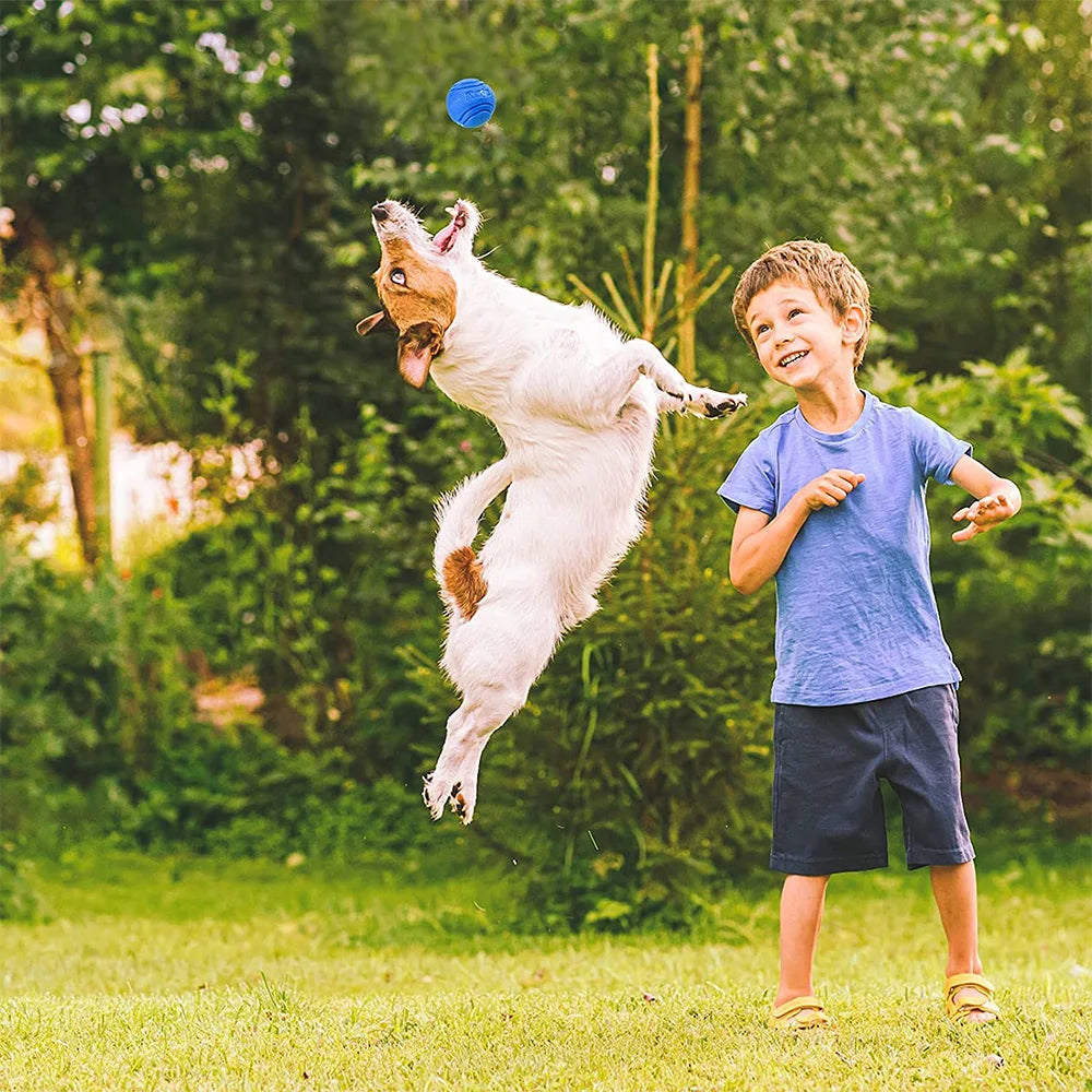 Balle gonflable en caoutchouc pour chien
