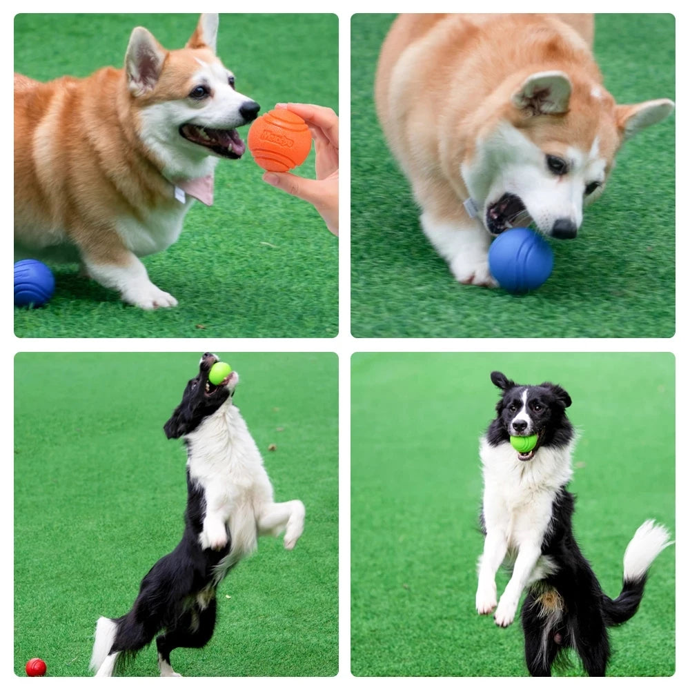 Balle gonflable en caoutchouc pour chien