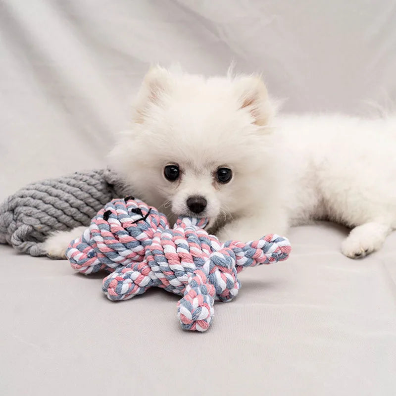 Jouet à Mâcher Résistant aux Morsures pour Chien, Petit Gabarit, Nettoyage des Dents, Chiot, Corde, Boule à Nœud, 1 Pièce