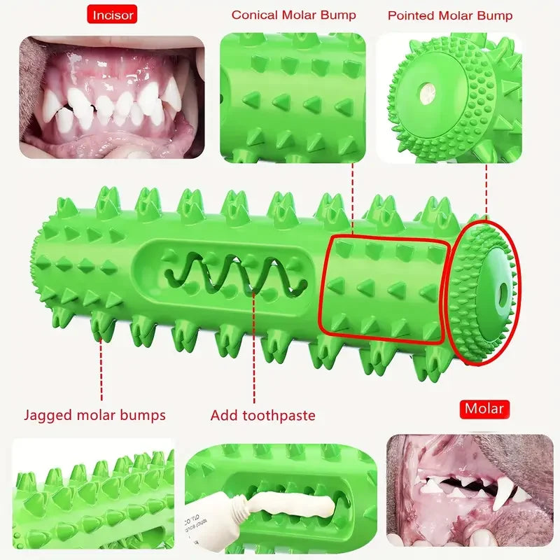 Bâton à mâcher dentaire approuvé par le vétérinaire – Jouet de brosse à dents rafraîchissante 3 en 1 pour petits/moyen chiens, nettoyage des dents d'été et Massage des gencives