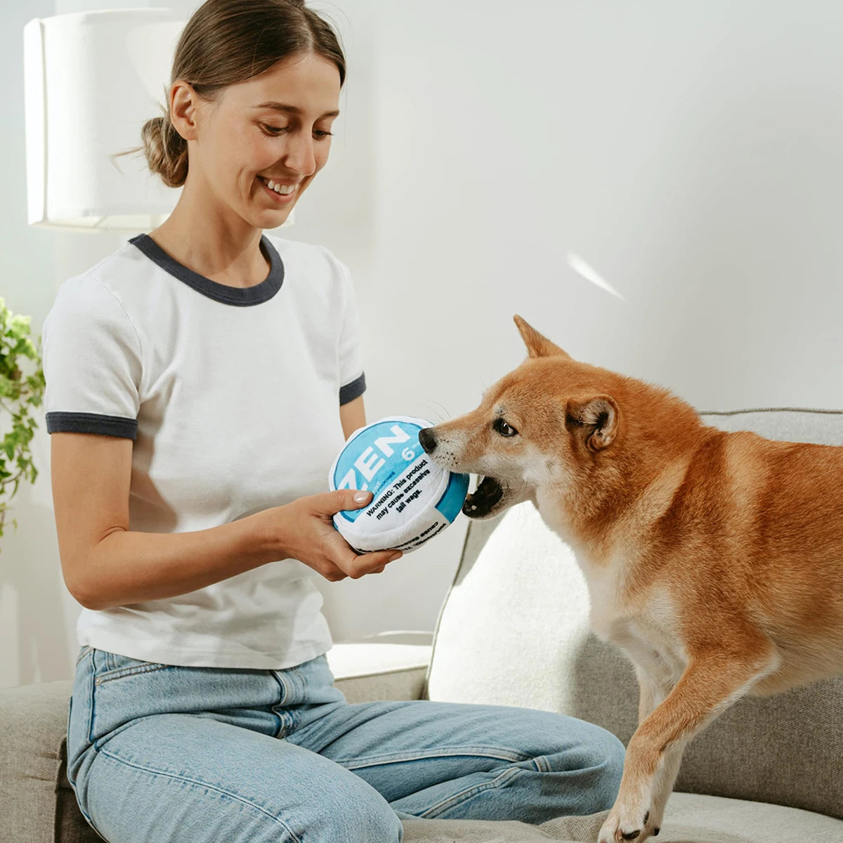 Jouet parodie pour chien Zen Pupper Deckies - Jouet drôle en peluche grinçant et froissé pour chien - Drool Mint
