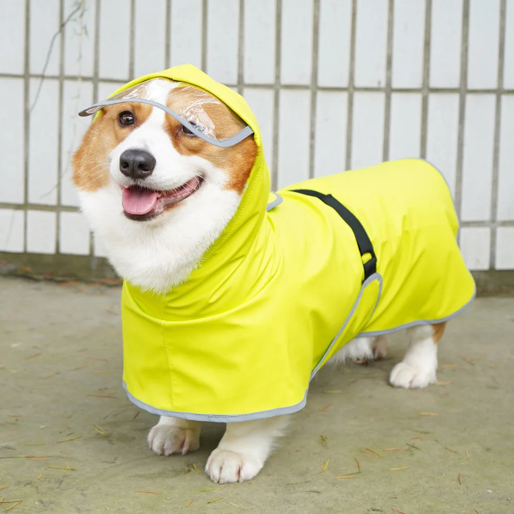 Imperméable chien toutes tailles, léger