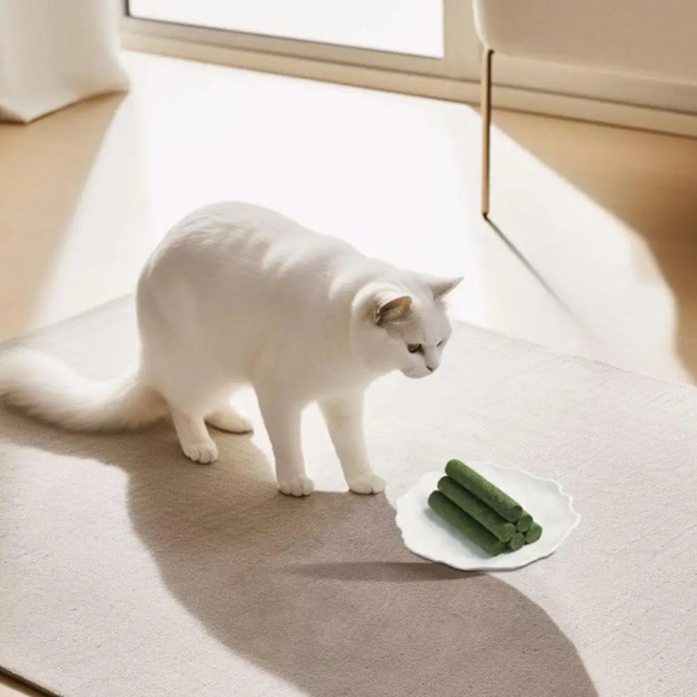 Bâton de meulage des dents pour chat, snacks pour animaux de compagnie, élimination des boules de poils, molaires, prêt à manger, bébé, livres, 6 pièces