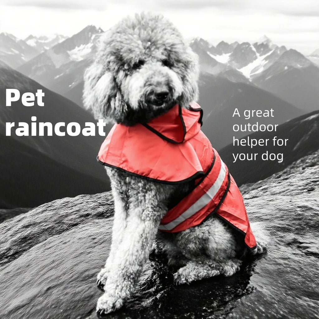 Imperméable pour chien, 1 pièce, pour une saison des pluies, plusieurs couleurs et tailles disponibles, comprend une conception de capuche
