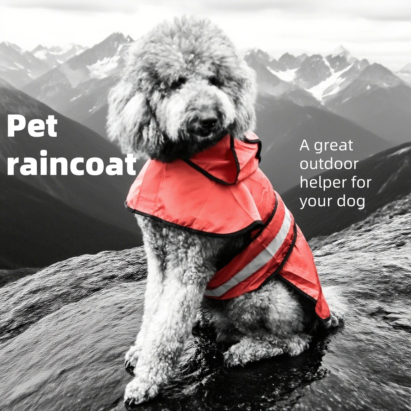 Imperméable pour chien, 1 pièce, pour une saison des pluies, plusieurs couleurs et tailles disponibles, comprend une conception de capuche