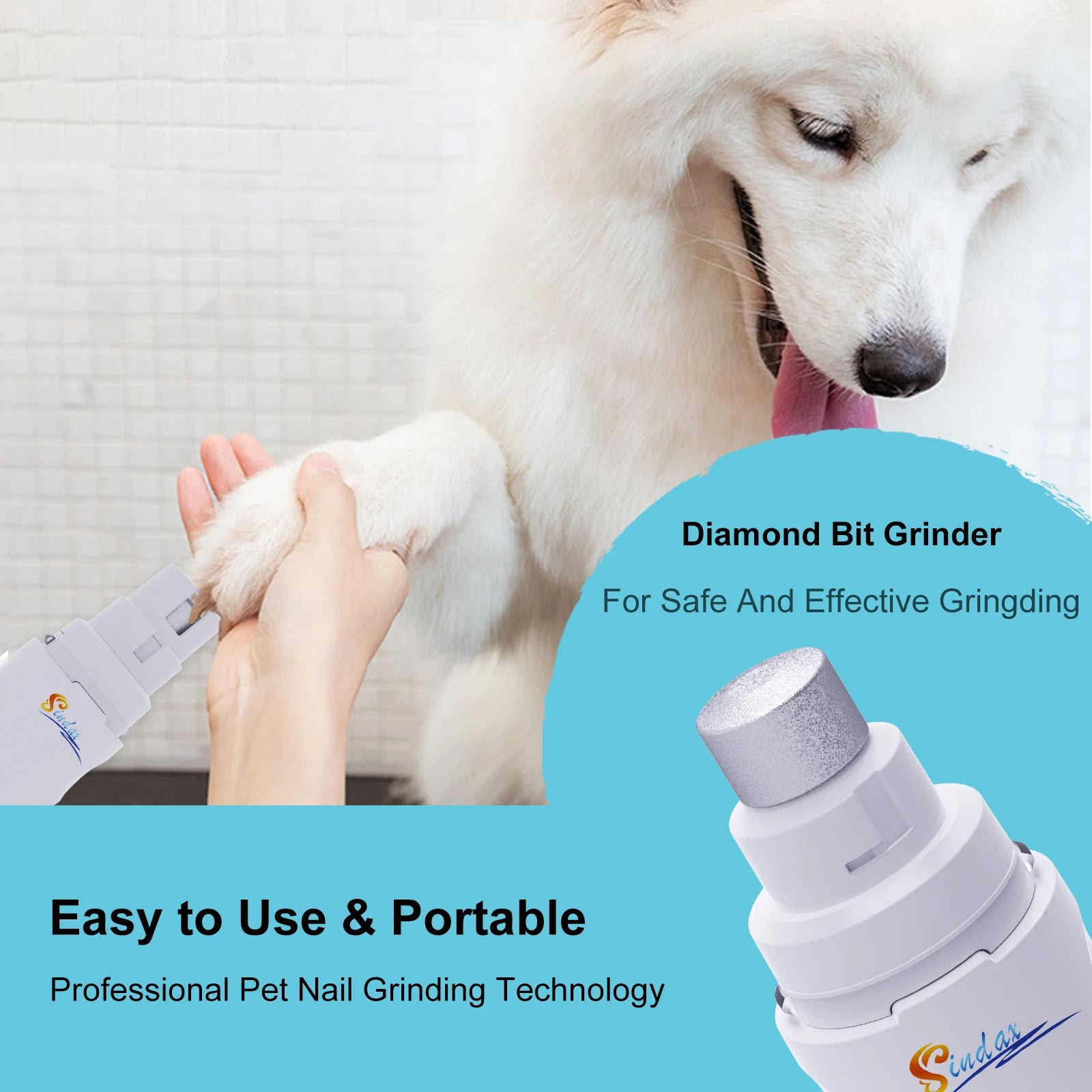 Broyeur à ongles électrique aste par USB pour animaux de compagnie, tondeuse et tondeuse, pattes indolores, toilettage, silencieux, 2 vitesses, lime à ongles pour chien