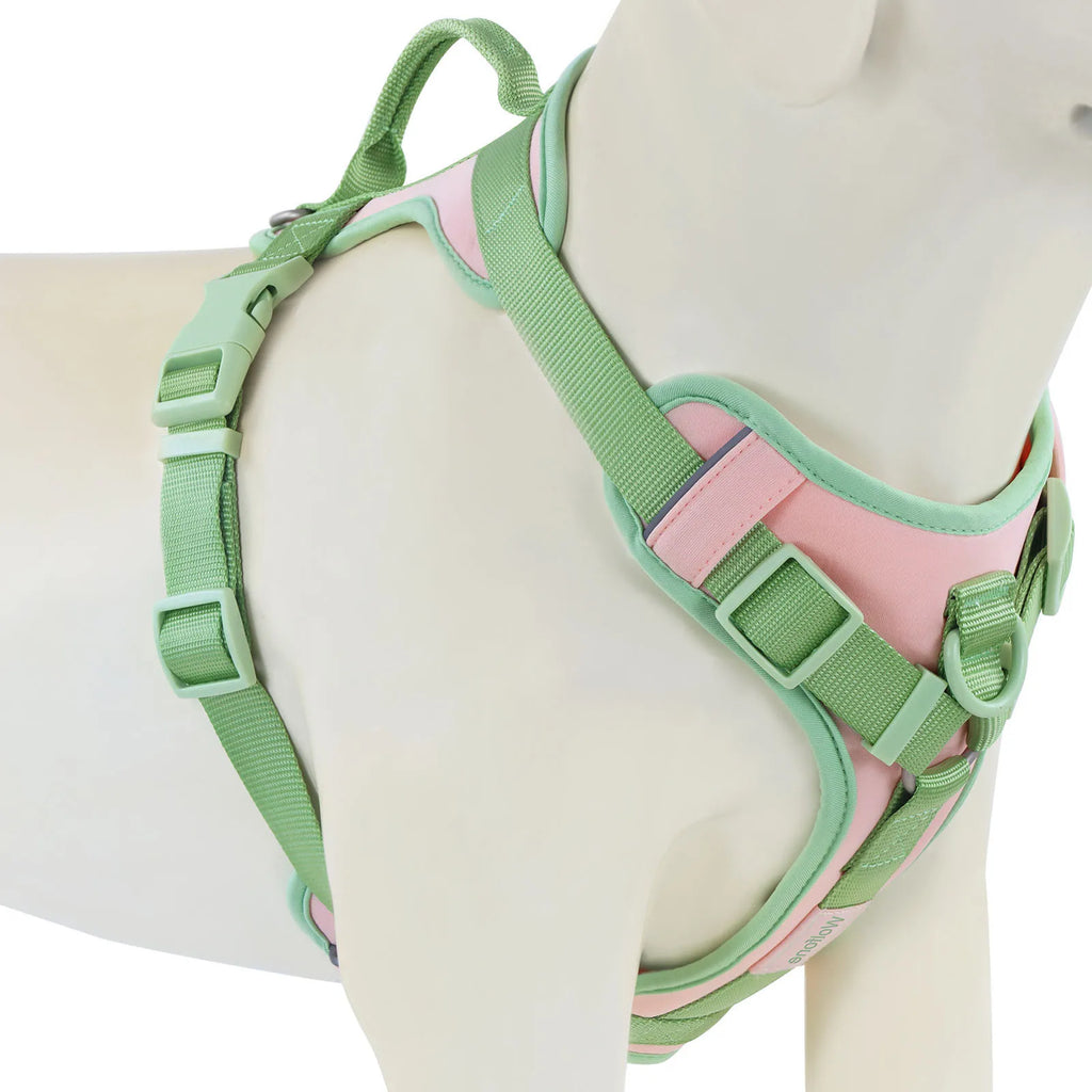 Nouveau Harnais de Luxe pour Chien Couleur Chocolat Anti-Traction pour Grands et Petits Chiens Sangle de Poitrine Réglable Harnais Personnalisé pour Chien