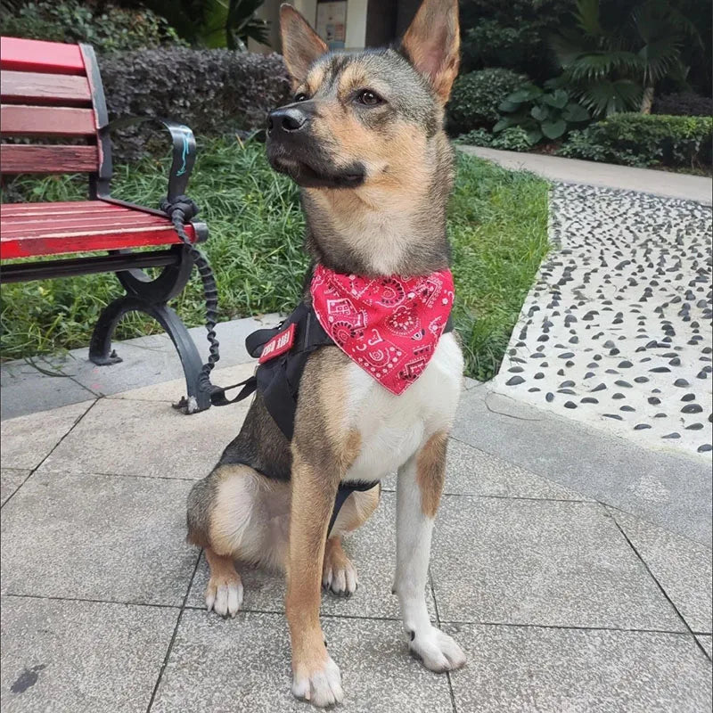 Bandage triangulaire réglable pour chien et chat, écharpe lavable, col Bandana, bavoirs, décor de cou de chat, déguisement de fête d'anniversaire