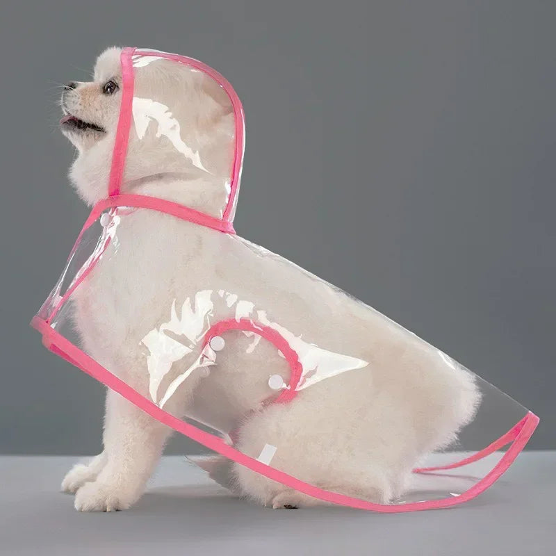 Imperméable transparent chien XS à 8XL