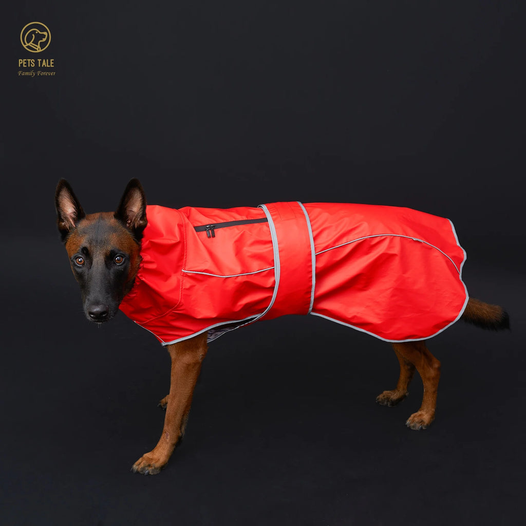 Imperméable imperméable pour chien avec bandes réfléchissantes et capuche réglable - Rouge, Jaune, Bleu Marine