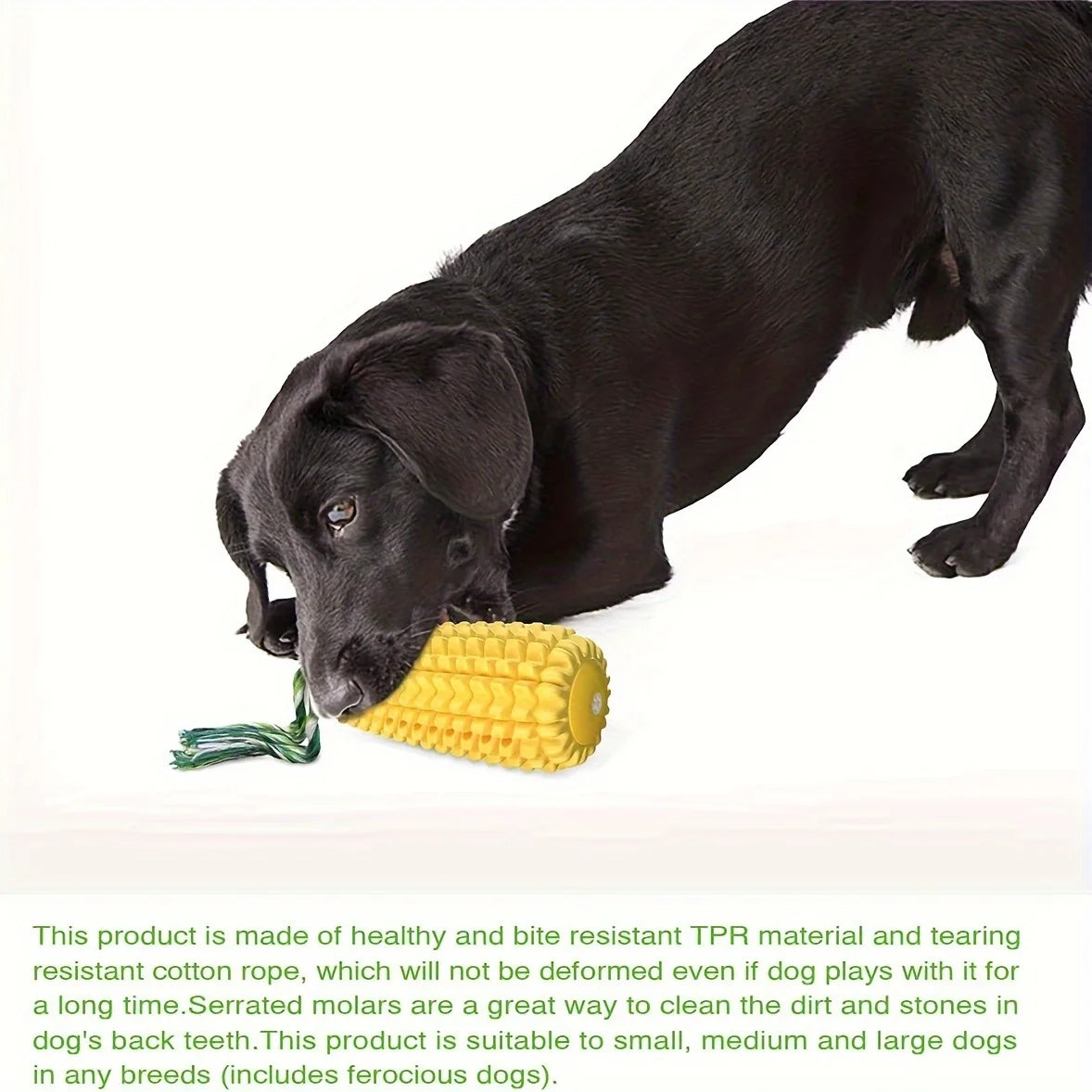 Jouets à mâcher pour chiens, pour mâcheurs agressifs, indeBuckle, résistant et durable, jouets interactifs grinçants, adaptés aux petits et grands chiens