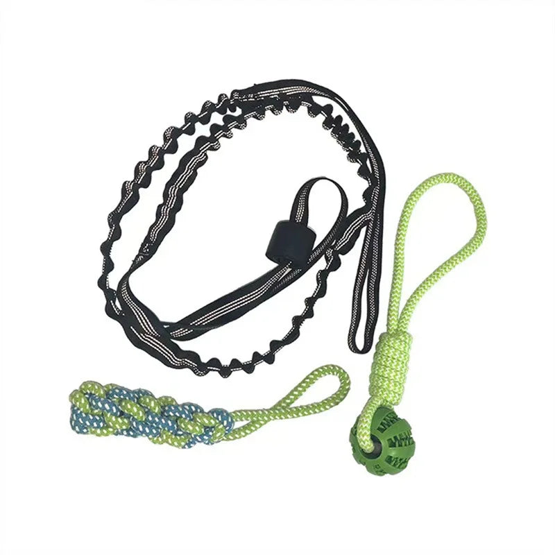 Jouets de corde de chien de poteau de ressort, jouet interactif de remorqueur de corde de chien, jouet de chiens suspendus d'elas d'intérieur/extérieur