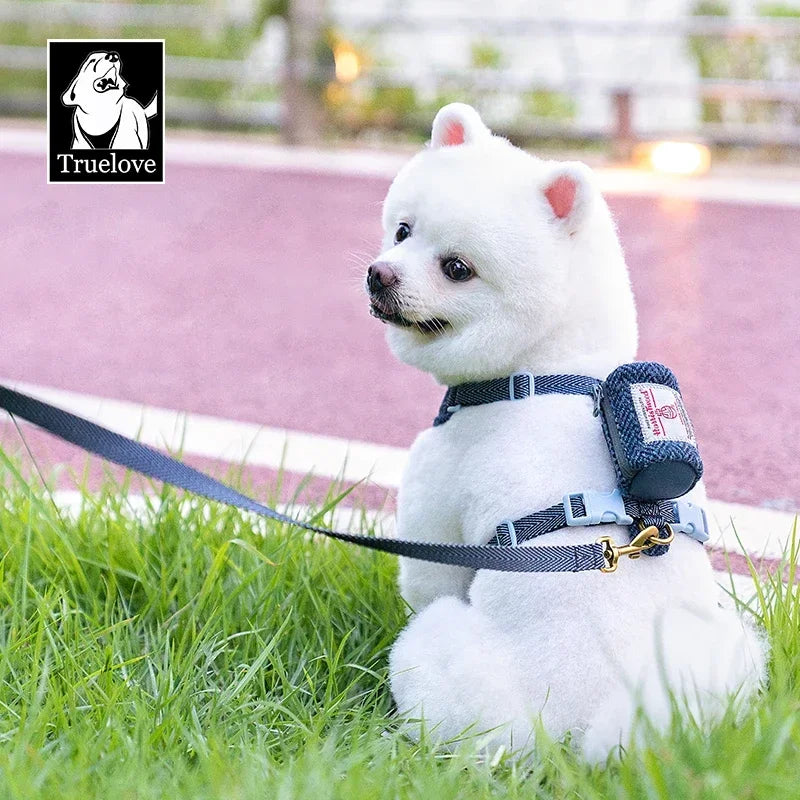Harnais & laisse tweed élégants pour chien