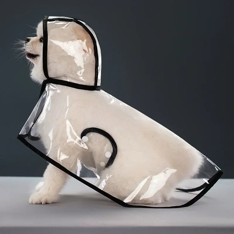 Imperméable transparent chien XS à 8XL