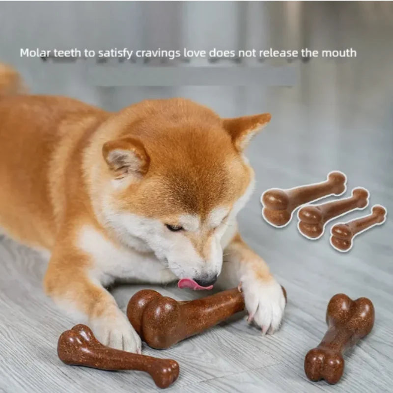 Jouet à mâcher pour chien naturel non toxique, presque indestructible, anti-morsure, pour chiots et chiens de petite, moyenne et grande taille, jouet à mâcher pour animaux de compagnie