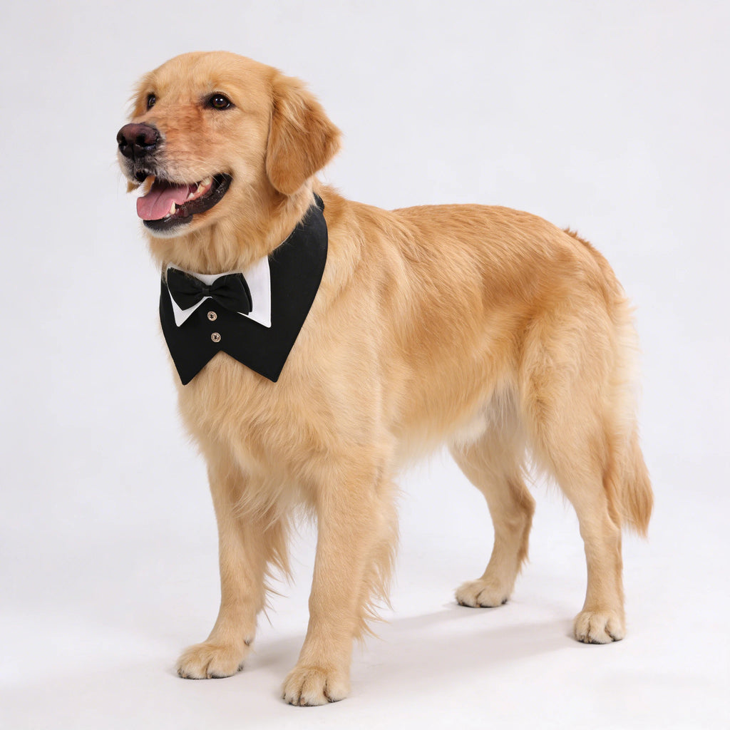 Bandana de costume de smoking pour chien Sucado, collier nœud papillon pour chien pour mariage et anniversaire, collier bandana de smoking pour animaux de compagnie de petite, moyenne et grande taille