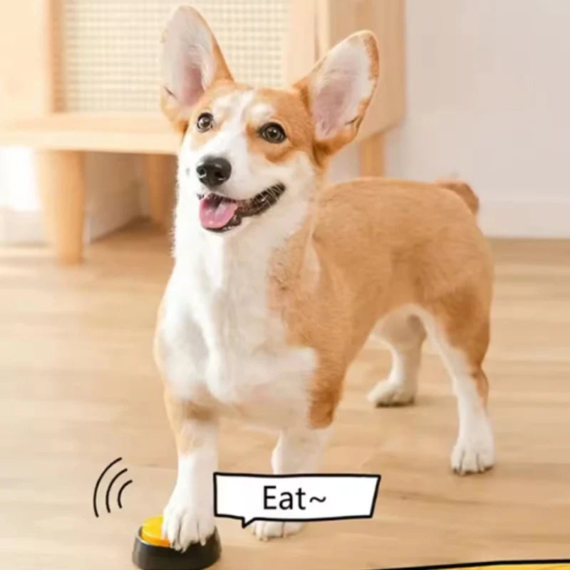 Jouets amusants pour chiens, jouets enregistrables pour animaux de compagnie, démarreur parlant, boutons parlants, fournitures portables et mignonnes pour animaux de compagnie