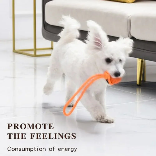 Balle d'Entraînement pour Chien en Coton, Jouet Interactif, Non CU, pour Grands et Petits Chiens, Attrape et Lancer