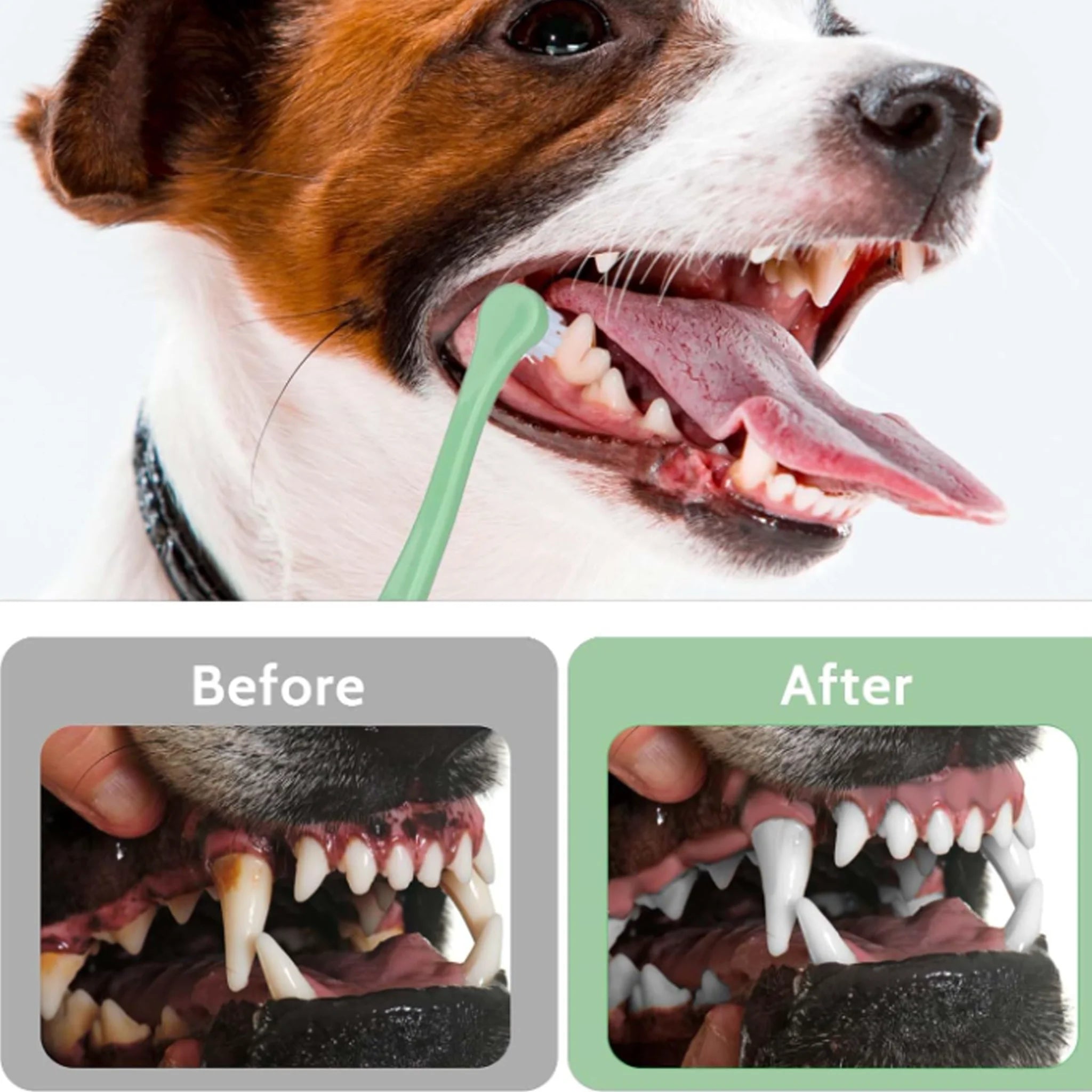 Brosse à dents poils doux pour animaux