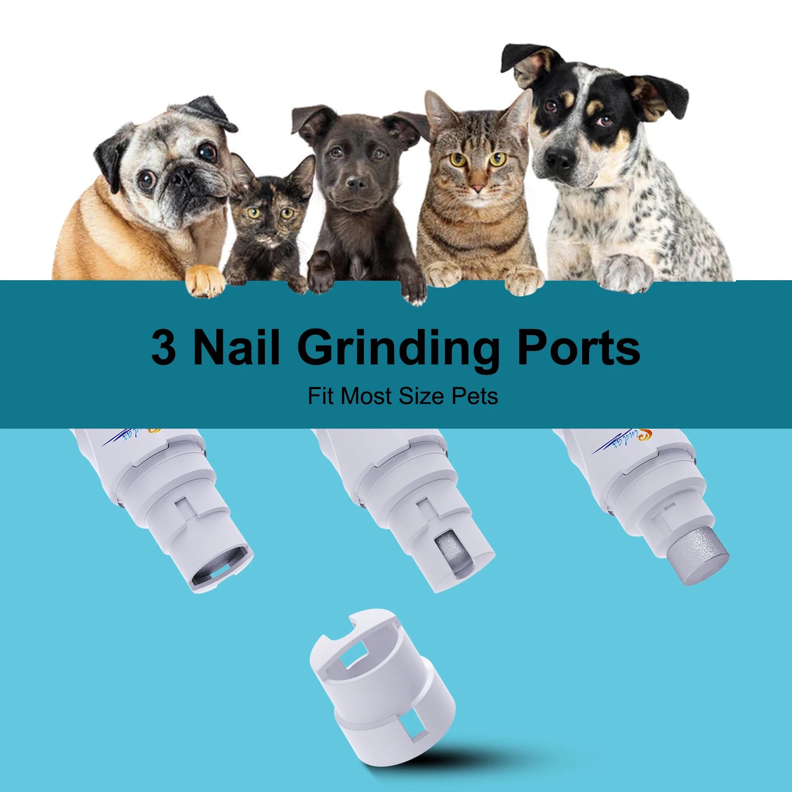 Broyeur à ongles électrique aste par USB pour animaux de compagnie, tondeuse et tondeuse, pattes indolores, toilettage, silencieux, 2 vitesses, lime à ongles pour chien