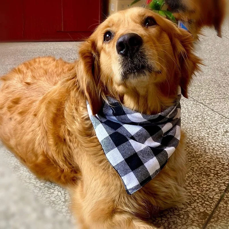 Bandana coton carreaux lavable chien & chat