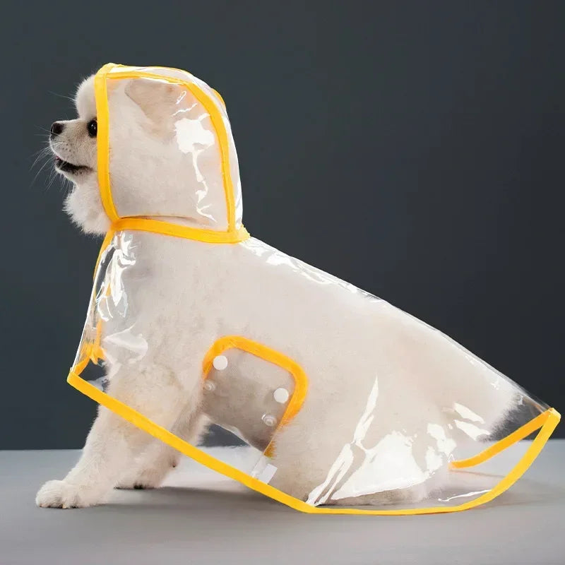 Imperméable transparent chien XS à 8XL