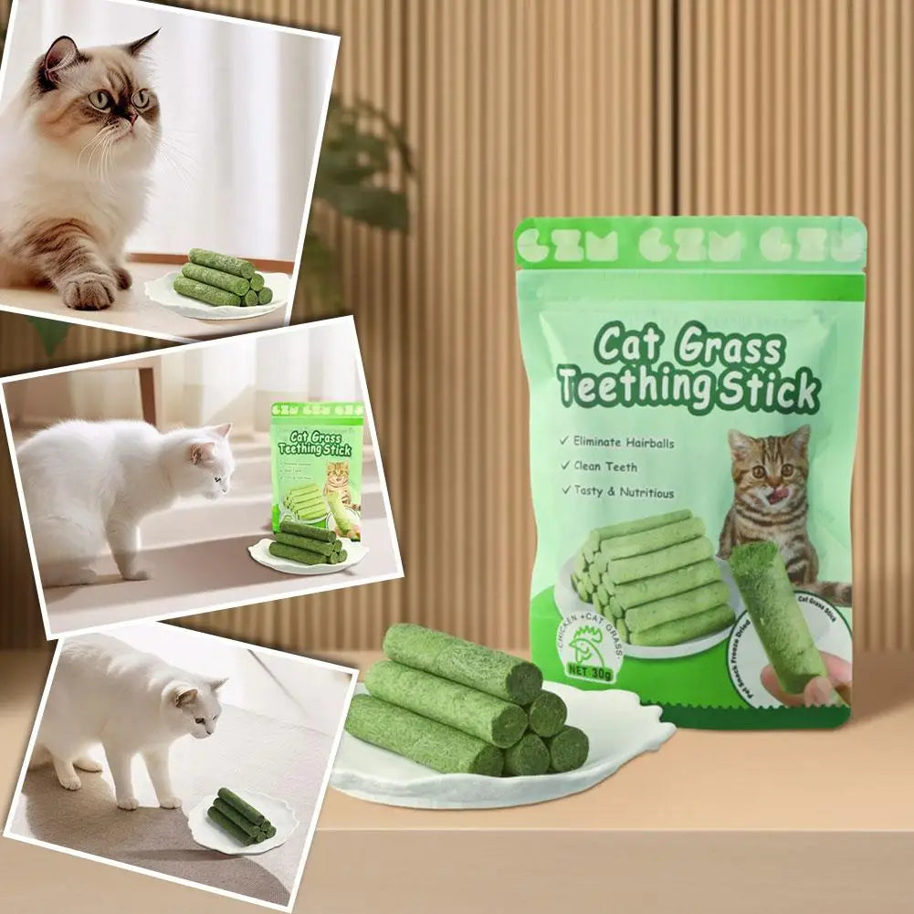 Bâton de meulage des dents pour chat, snacks pour animaux de compagnie, élimination des boules de poils, molaires, prêt à manger, bébé, livres, 6 pièces