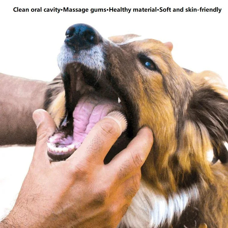 Doigtier dentaire chien & chat