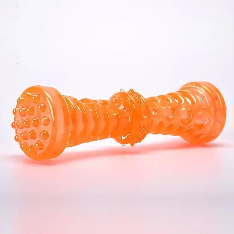 Jouet à mâcher en plastique en forme d'os pour chien, TPR grinçant, avec son, nettoyage des dents, bâton molaire Anti-morsure, fournitures pour animaux de compagnie