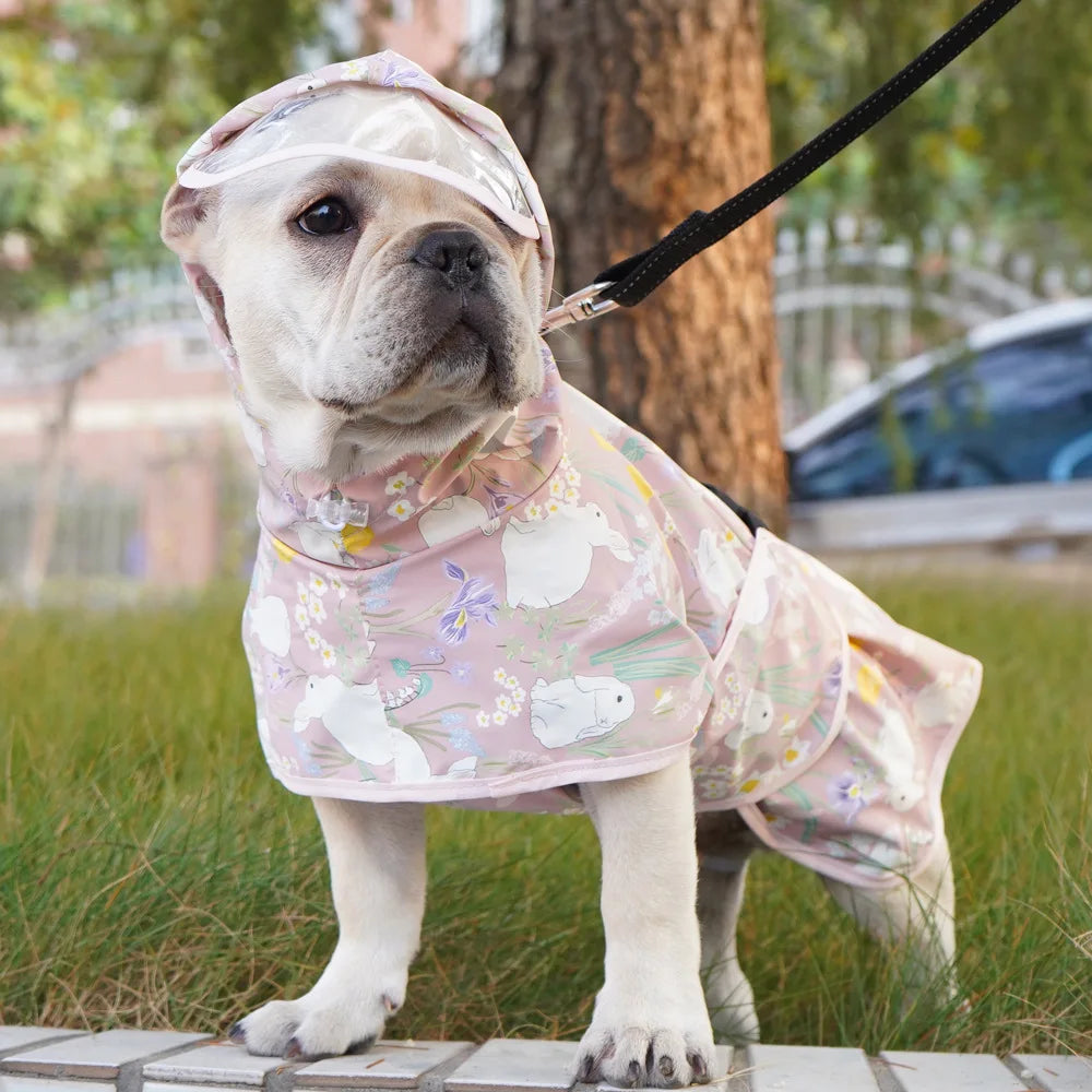 Teddy Cgi doré chien vêtements oeuf Olk homme PU veste imperméable chien imperméable fournitures pour animaux de compagnie imperméable en plein air
