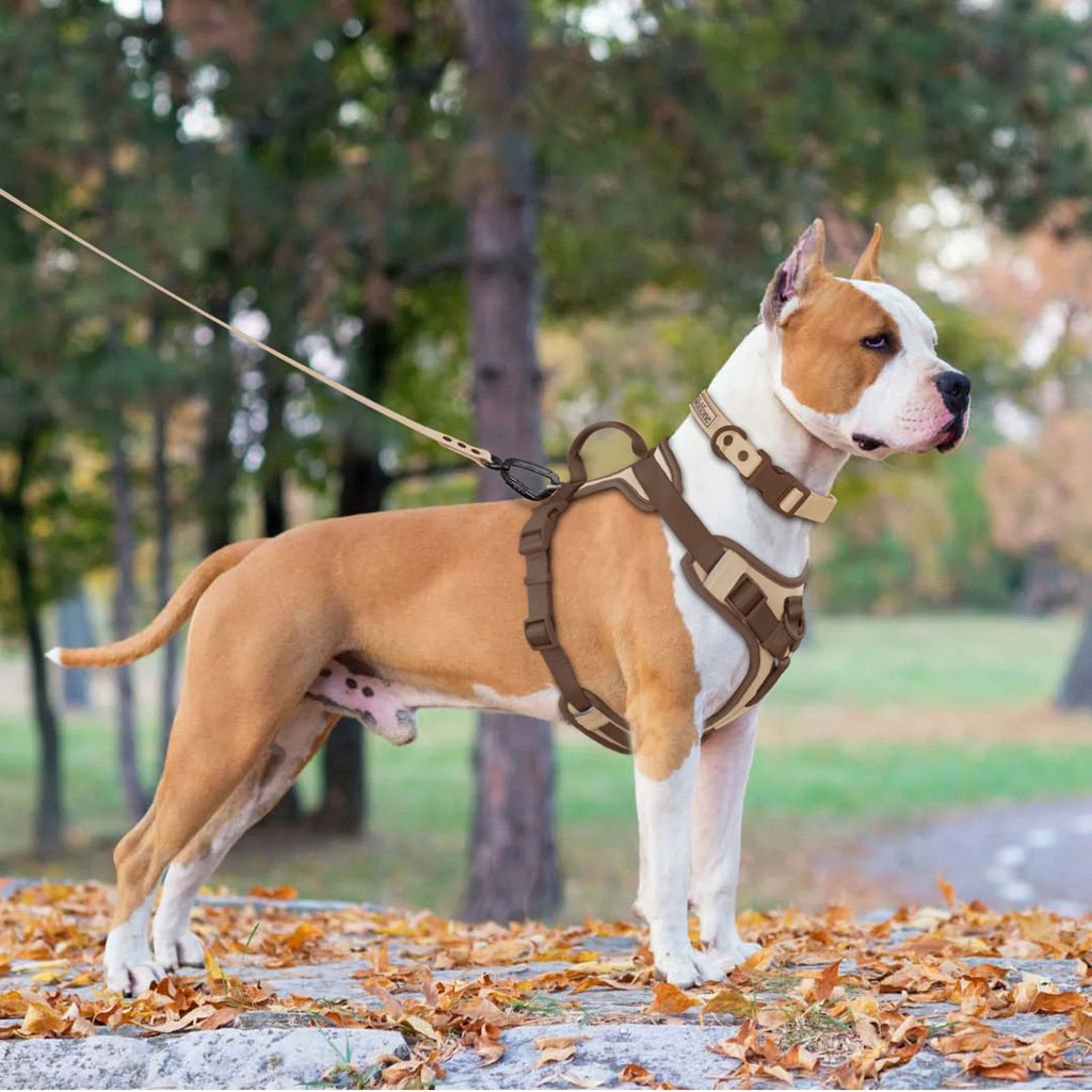 Nouveau Harnais de Luxe pour Chien Couleur Chocolat Anti-Traction pour Grands et Petits Chiens Sangle de Poitrine Réglable Harnais Personnalisé pour Chien