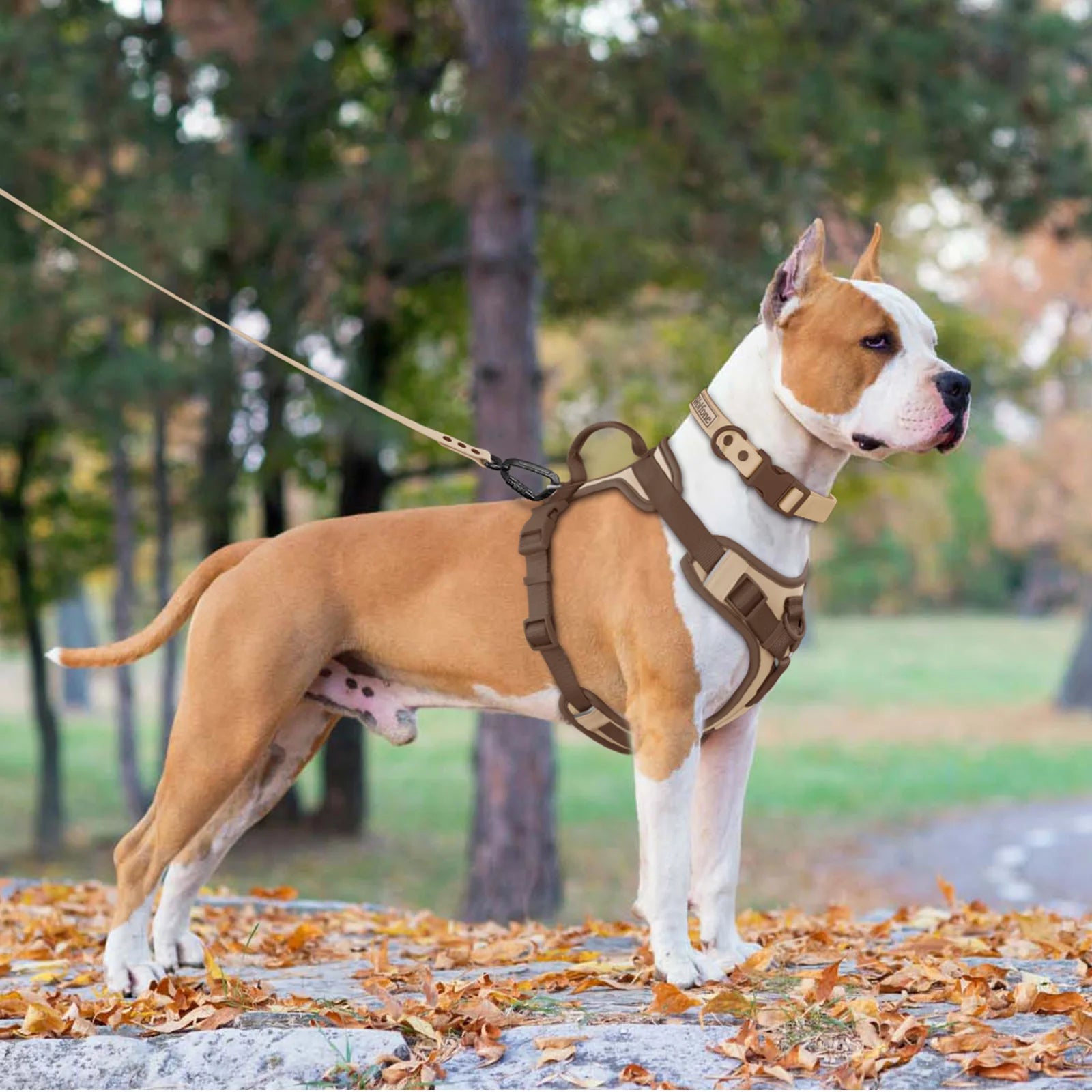 Nouveau Harnais de Luxe pour Chien Couleur Chocolat Anti-Traction pour Grands et Petits Chiens Sangle de Poitrine Réglable Harnais Personnalisé pour Chien