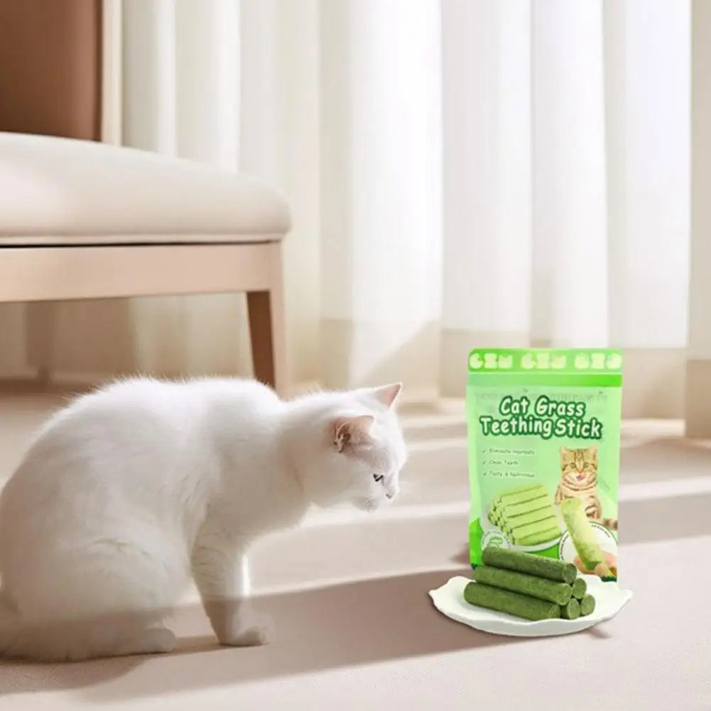 Bâton de meulage des dents pour chat, snacks pour animaux de compagnie, élimination des boules de poils, molaires, prêt à manger, bébé, livres, 6 pièces