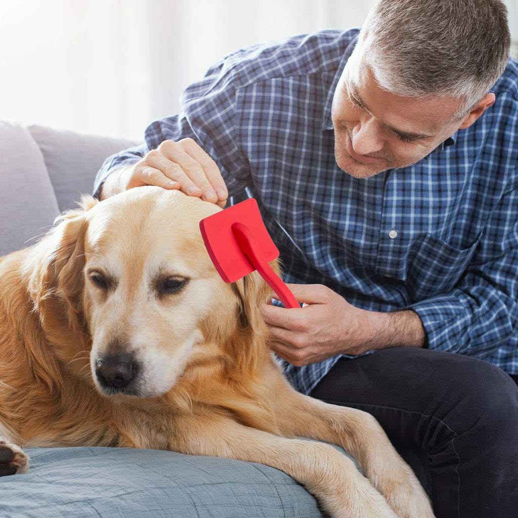 Brosse Professionnelle de Énergie Doux pour Chien et Chat, Broches en Acier Inoxydable, Peigne de Démêlage, Perte de Fourrure, Sous-Manteau