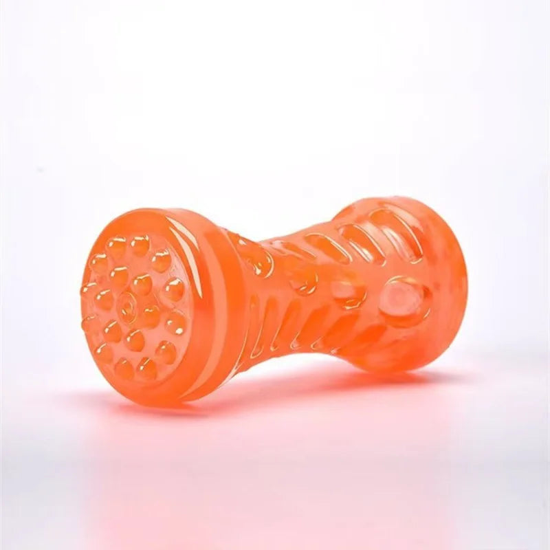 Jouet à mâcher en plastique en forme d'os pour chien, TPR grinçant, avec son, nettoyage des dents, bâton molaire Anti-morsure, fournitures pour animaux de compagnie