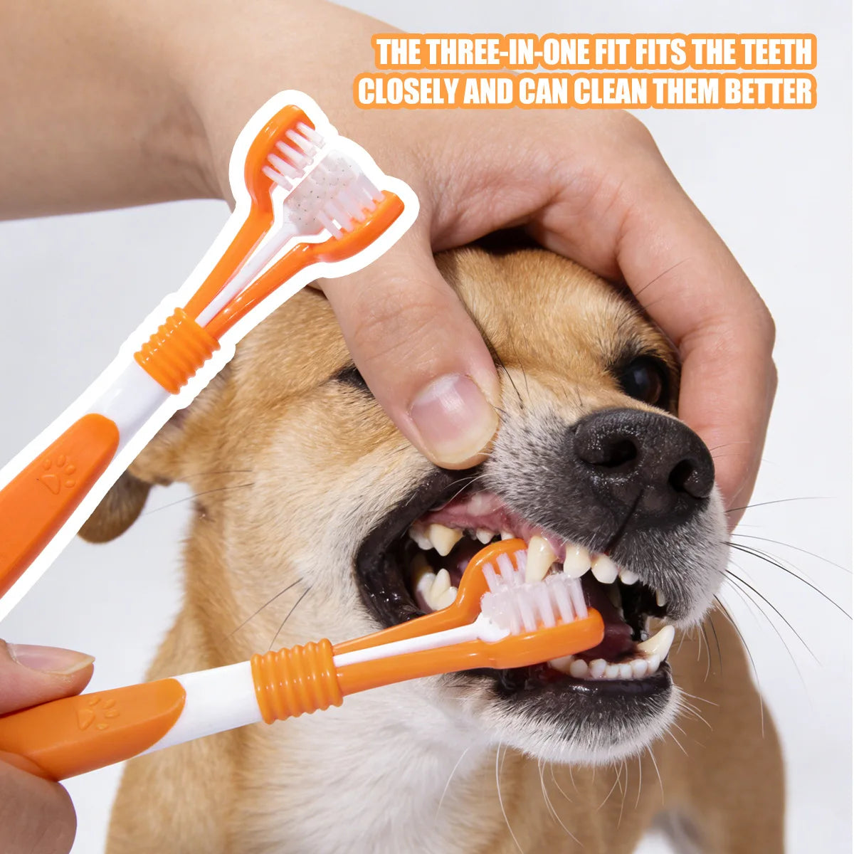 Brosse 3 faces anti-tartre chien & chat