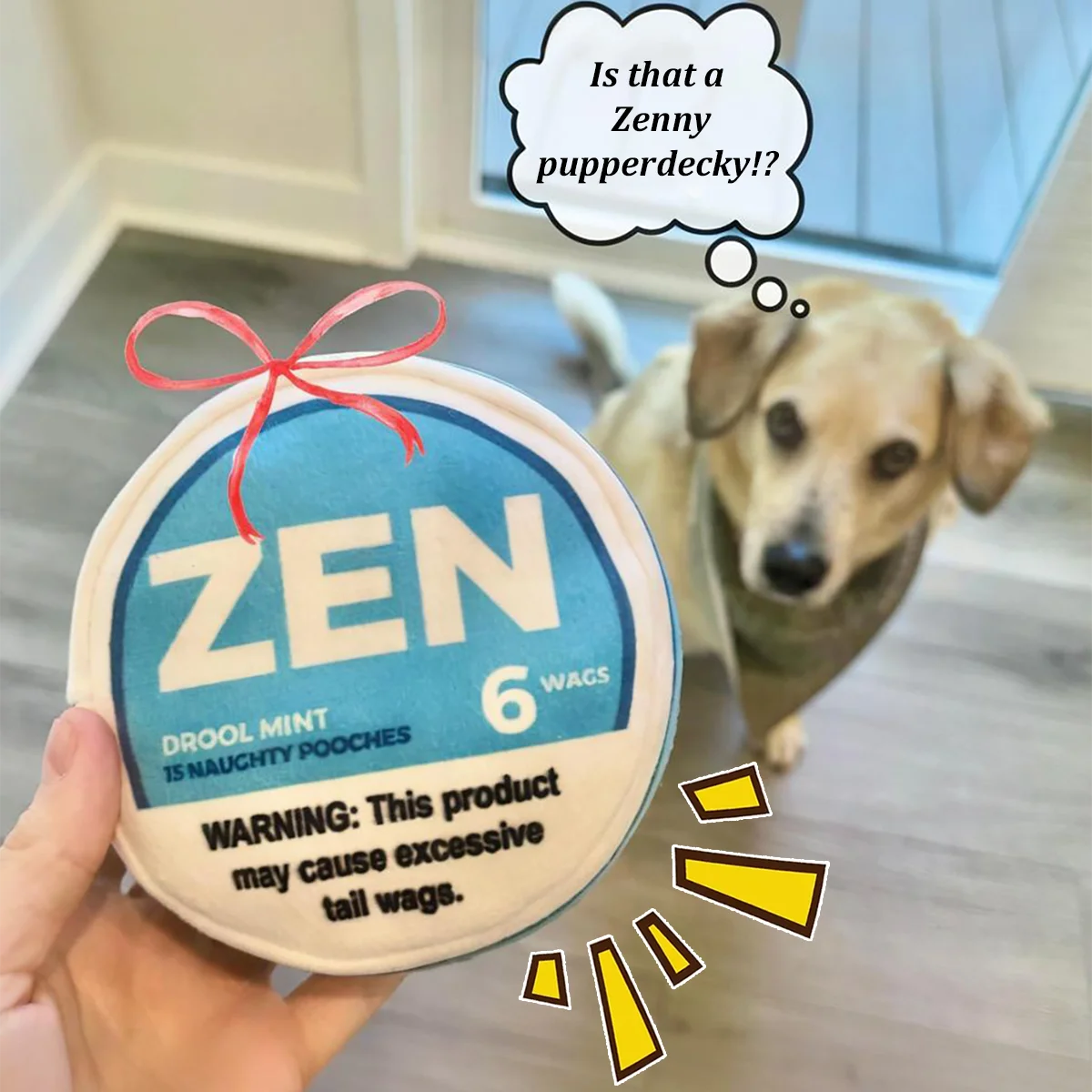 Jouet parodie pour chien Zen Pupper Deckies - Jouet drôle en peluche grinçant et froissé pour chien - Drool Mint