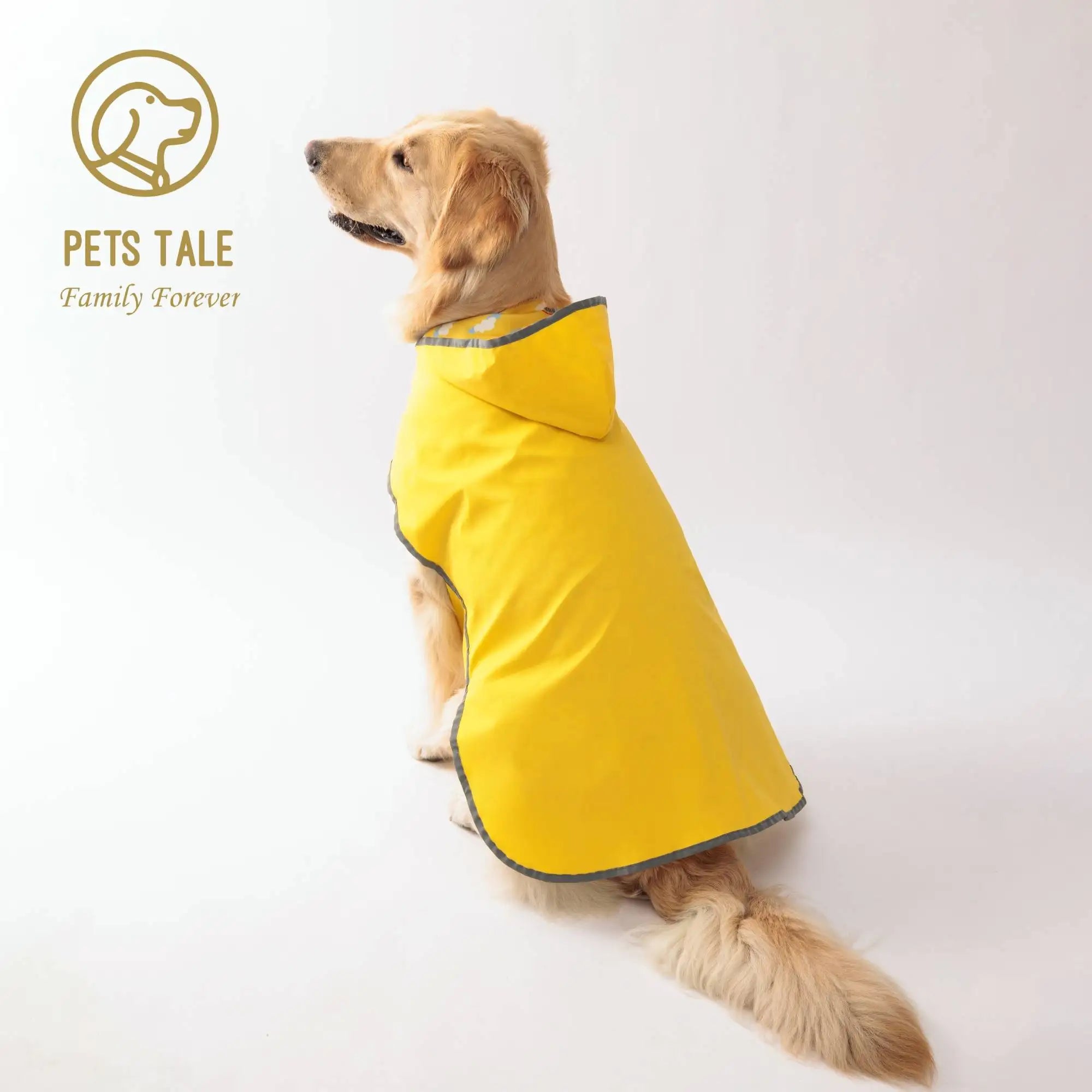 Gardez votre chiot sec et élégant : imperméable jaune double couche avec vêtements bidirectionnels!