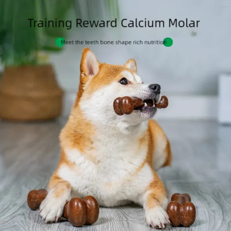 Jouet à mâcher pour chien naturel non toxique, presque indestructible, anti-morsure, pour chiots et chiens de petite, moyenne et grande taille, jouet à mâcher pour animaux de compagnie