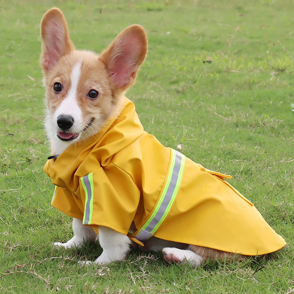 Grand chien imperméable Corgi manteau Style chiot imperméable chien vêtements réfléchissant animal de compagnie coupe-vent imperméable à capuche imperméable pour chien
