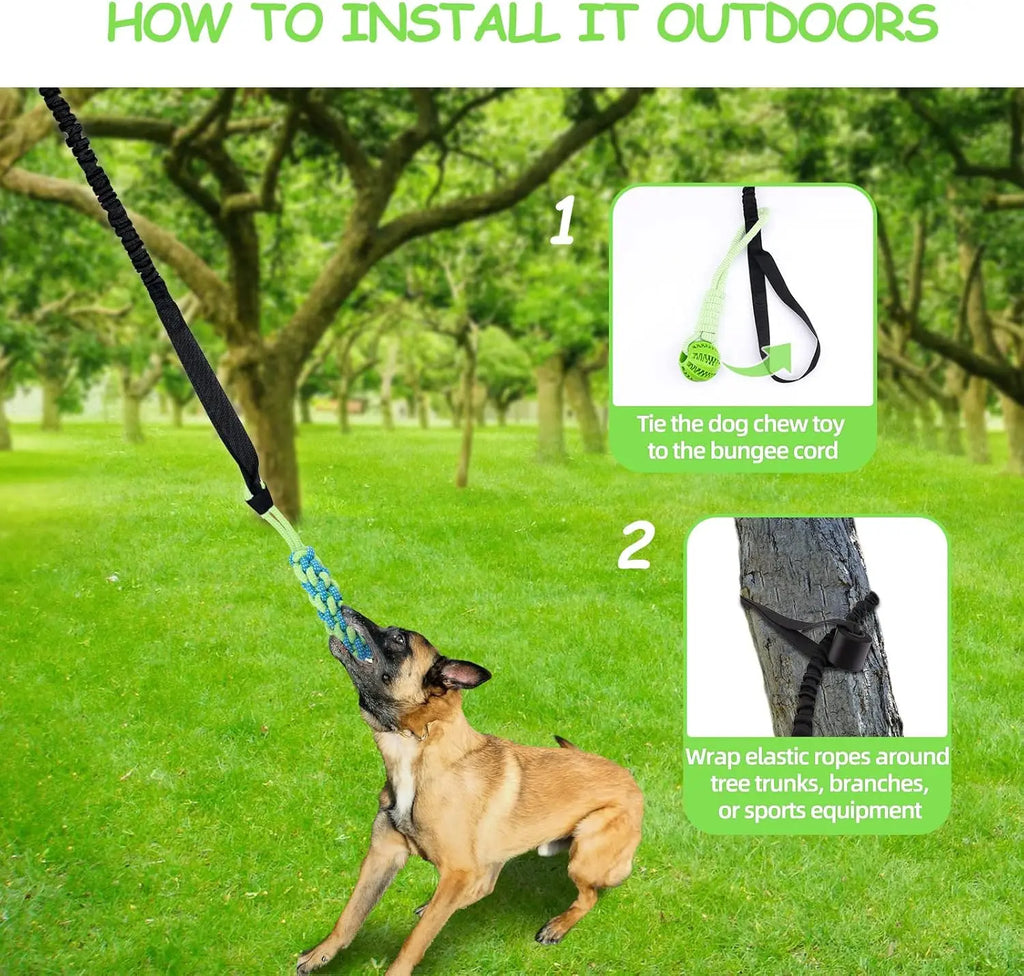Jouets de corde de chien de poteau de ressort, jouet interactif de remorqueur de corde de chien, jouet de chiens suspendus d'elas d'intérieur/extérieur