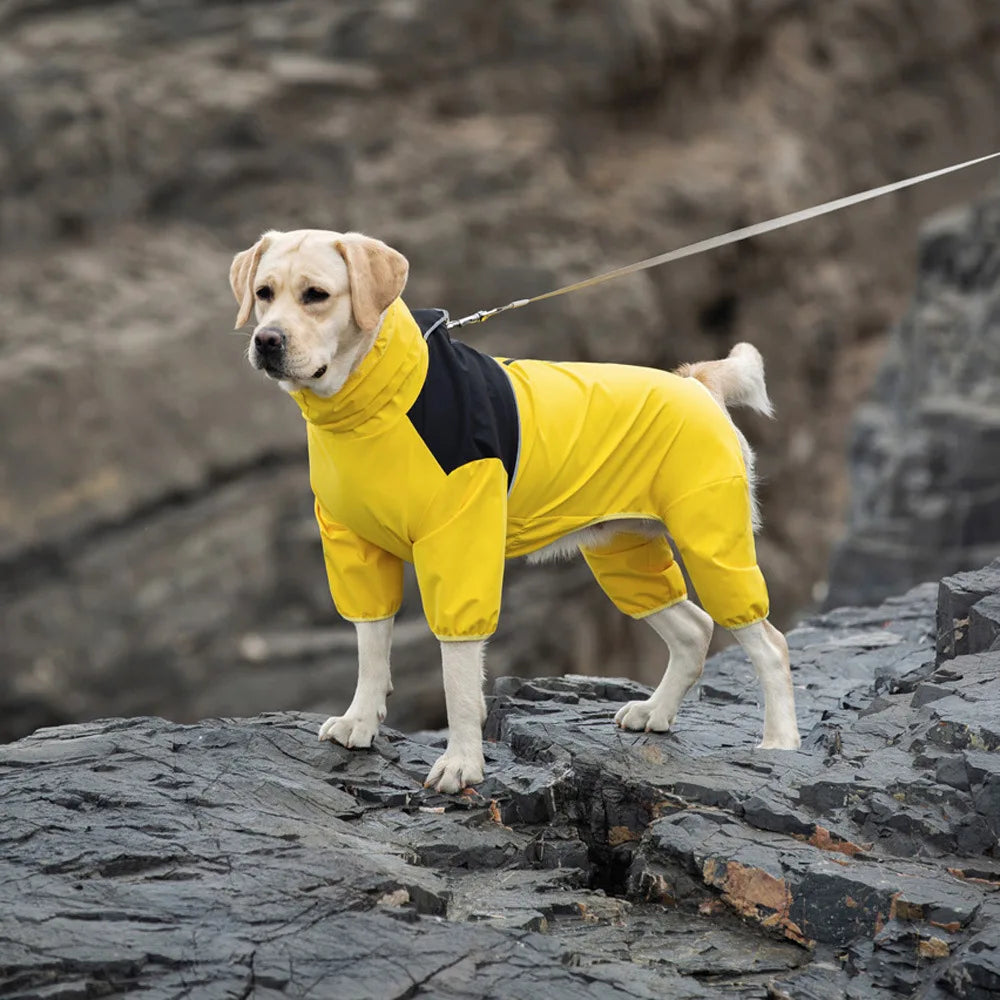 Manteau imperméable pour chien moyen et grand Labrador Golden Retriever Shiba Lnu quatre pieds vêtements imperméables pour chien manteau Anti tempête imperméable pour animaux de compagnie