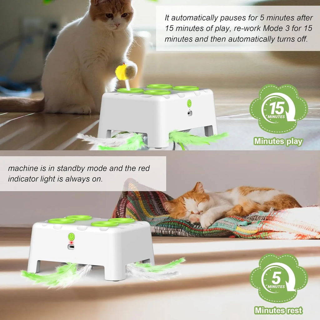 Jouet pop-up automatique à plumes pour chat