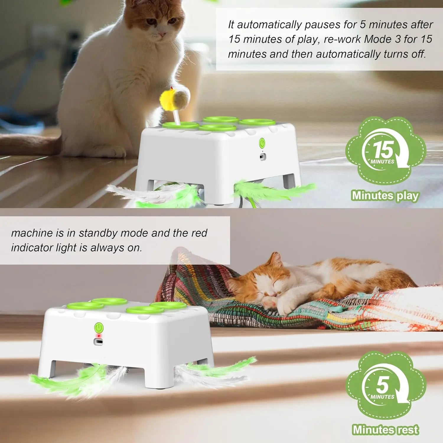 Jouet pop-up automatique à plumes pour chat