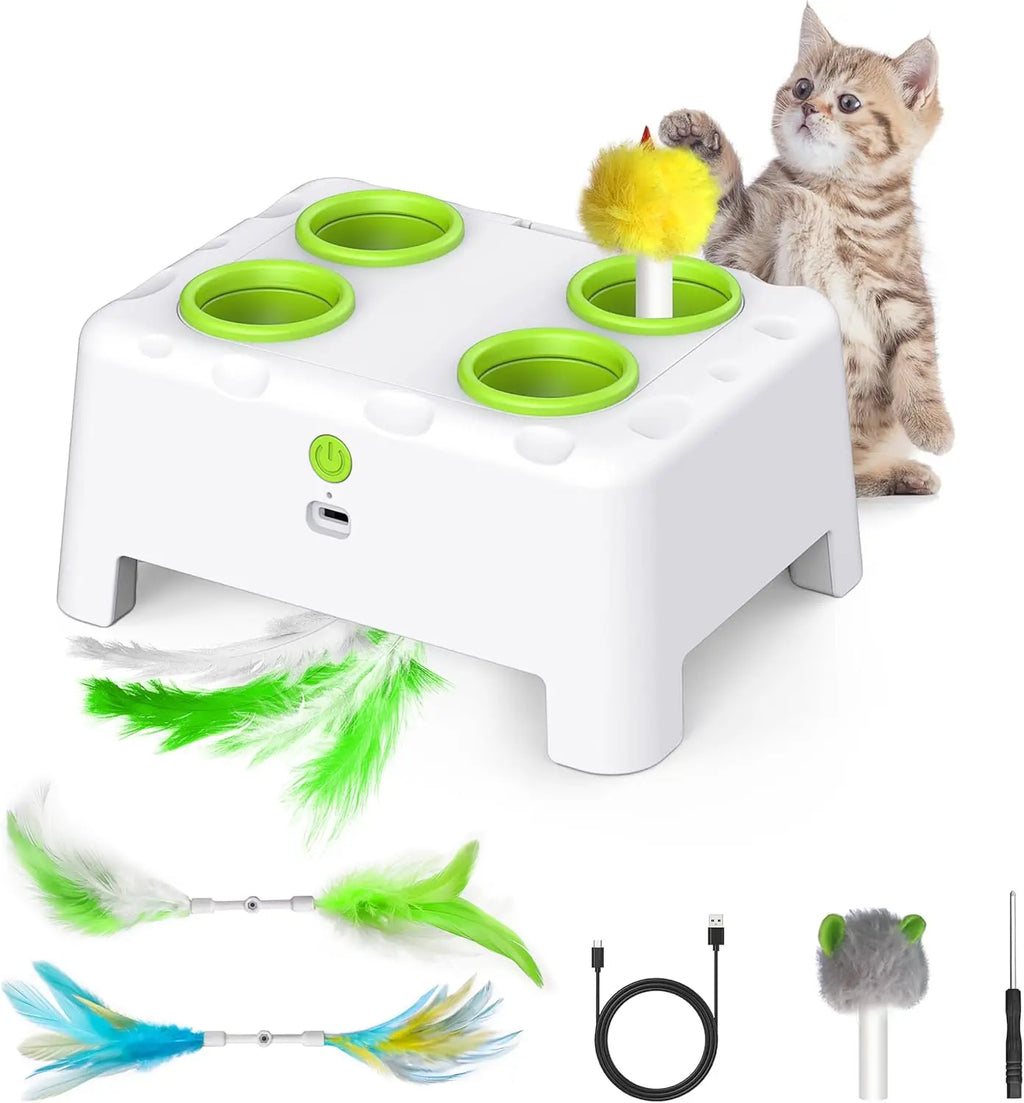 Jouet pop-up automatique à plumes pour chat