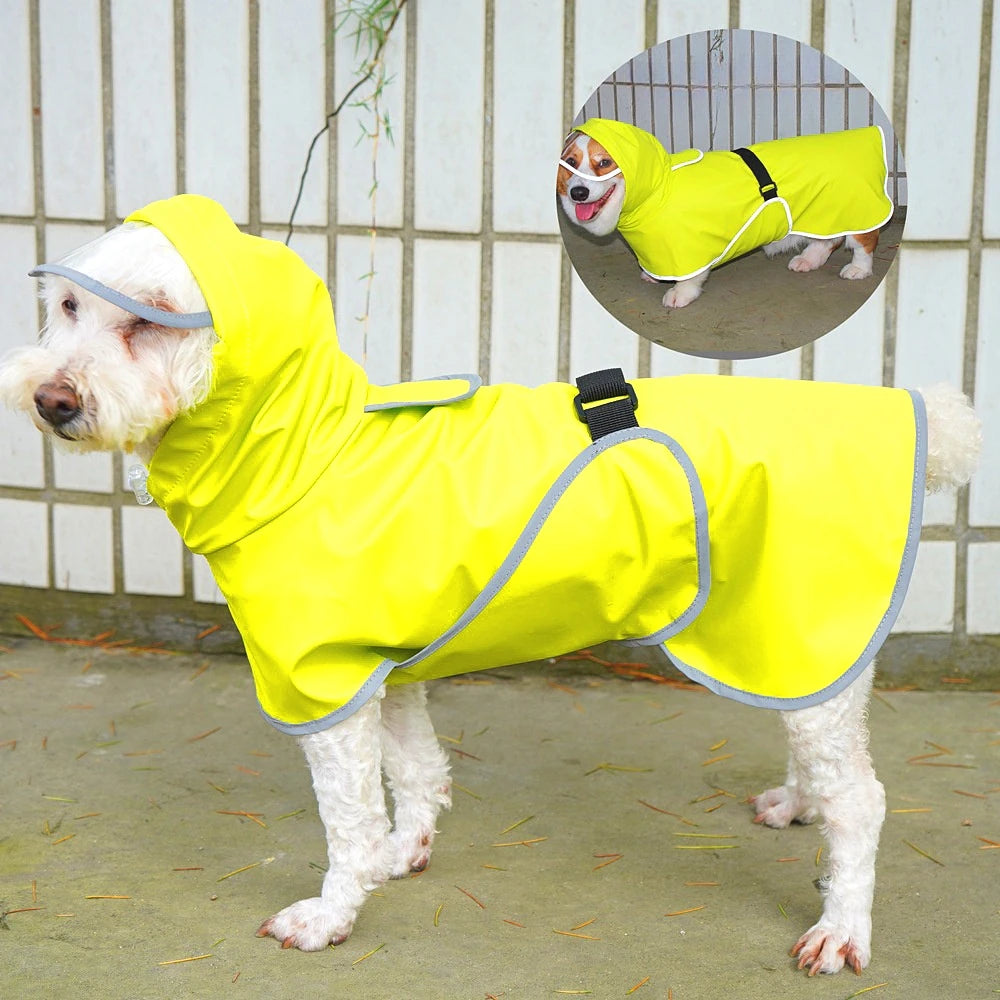Imperméable chien toutes tailles, léger