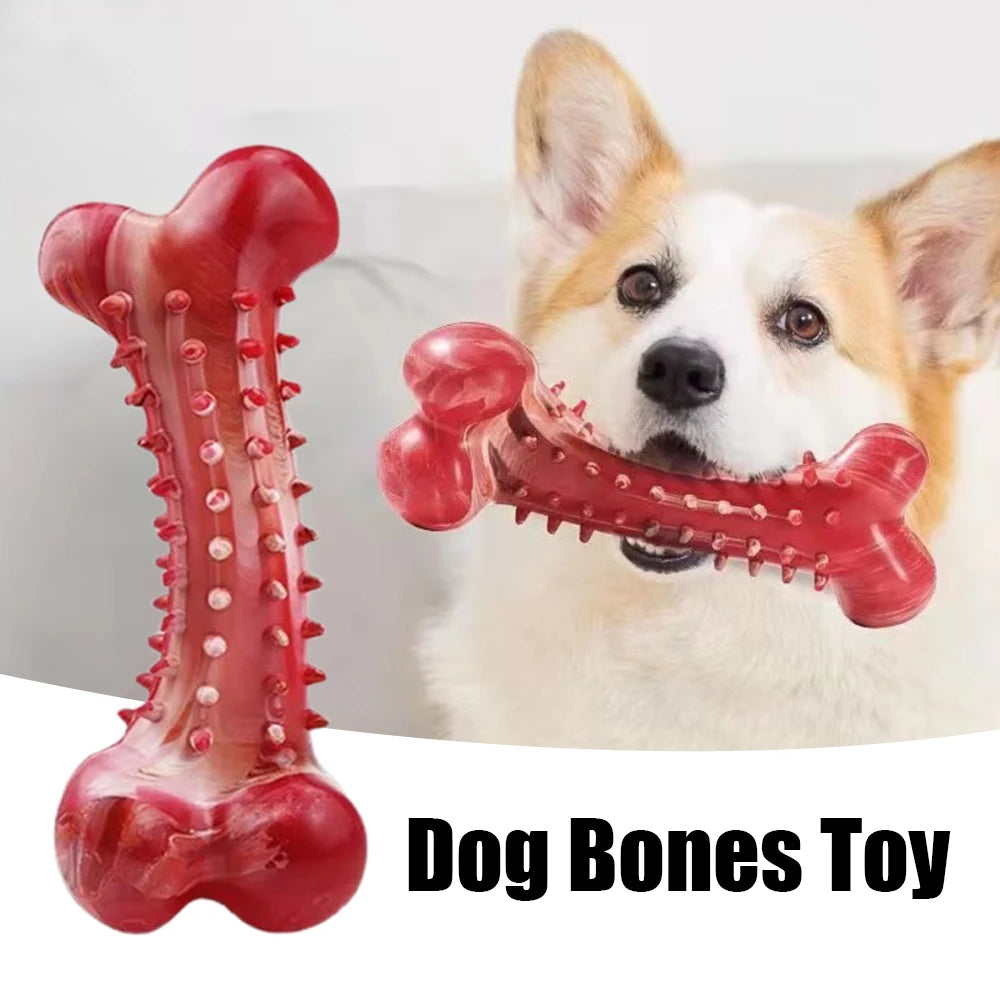 Jouets pour chiens, affûtage des dents, nettoyage des os de chien, entraînement en caoutchouc naturel, jouets à mâcher rigides et durables pour chiens de taille moyenne et grande, fournitures pour animaux de compagnie